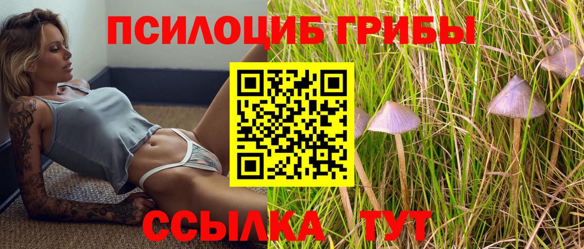 Галлюциногенные грибы мицелий Губаха