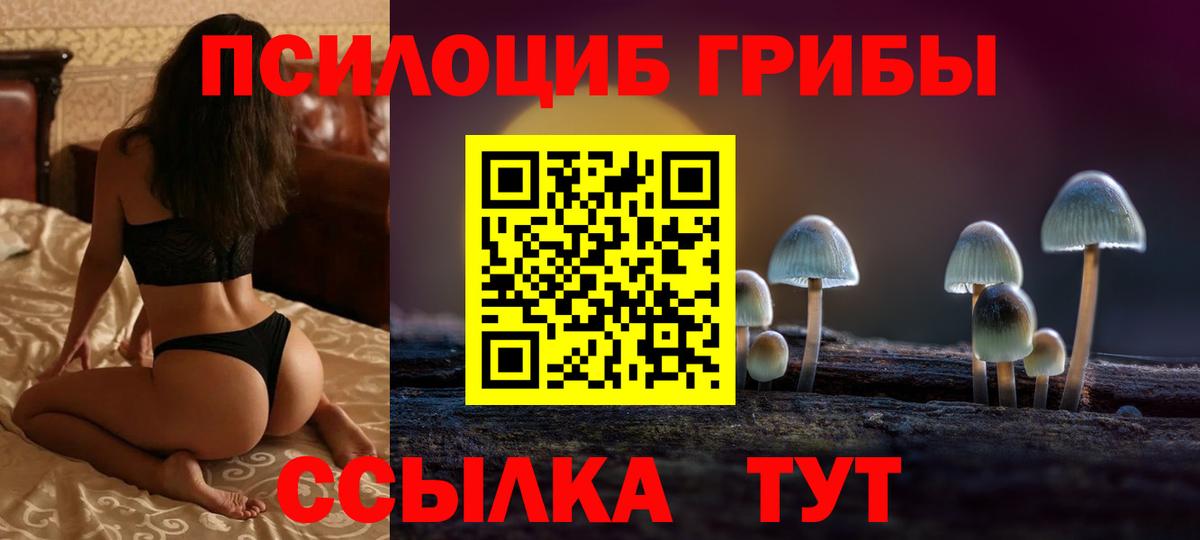 Губаха  Псилоцибиновые грибы ЛСД  Вход с VPN 